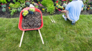 Landscaping Ballagan