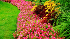 Landscaping Ballagan