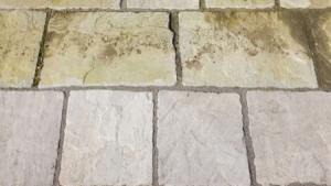 Patio Cleaning & Repair Collon